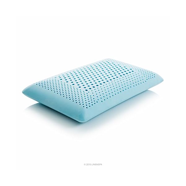 Linenspa Dual Zone Gel Memory Foam Pillow Ergonomic