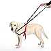 HALTI Training Leash - Multifunctional Double-Ended Dog Leash, Ideal for Anti-Pulling Dog Training. Easy to Use, Lightweight & Durable. Suitable for Medium to Large Dogs & Puppies (Size Large, Red)