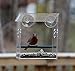 Kanaryware Window Bird Feeder - Built to Last A Lifetime - Decorate Your House with Beautiful Wild Birds - 100% Clear Acrylic - Drain Holes - Hooks & 2 Extra Suction Cups Included - Great Gift