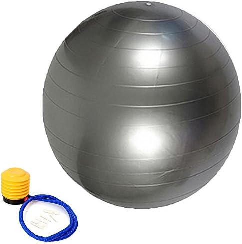 Exercise Ball with Pump for Yoga, Pilates, Therapy, Balance, Stability, Posture Support, Workout Guide, Gym, Core Strength, Fitness - Multiple Sizes 55cm 65cm 75cm Stability Ball Supports 2000 lbs