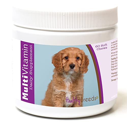Healthy Breeds Cavapoo Multi-Vitamin Soft Chews 60 Count (1127-cavp-001)