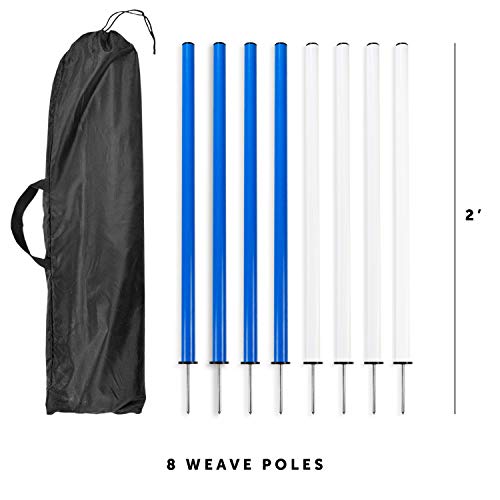 Better Sporting Dogs Complete Starter Agility Set for Dogs | 5 Piece Dog Agility Kit | Dog Tunnel | Agility Jump | Tire Jump | Weave Poles | Pause Box - Thumbnail 5
