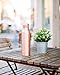 Okee Supply Co Hammered 30oz Pure Copper Water Bottle Ayurvedic