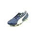Puma Mens King Ii Fg Firm Ground Soccer Shoe