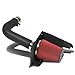 Ford F-150/Expedition Black Coated Aluminum Air Intake System