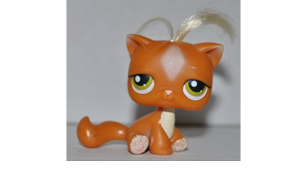 lps sitting down cat