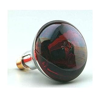 LAMPARA INFRARROJA W Rosca E V Luz roja Emite calor