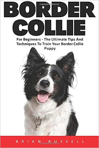 best way to train a border collie