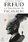 Livro Freud e o Nascimento da Psicanálise: Da descoberta do inconsciente às bases da teoria: Livro 1 - Biblioteca de Psicanálise