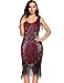 Flapper Girl Women's Vintage 1920s Sequin Beaded Tassels Hem Flapper Dress (S, Burgundy)
