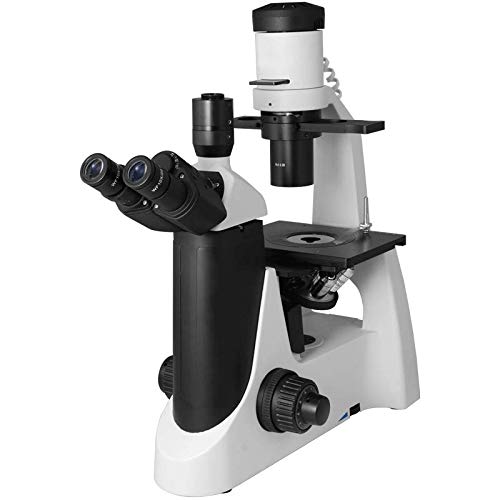 BoliOptics PH03030303 Inverted Microscope