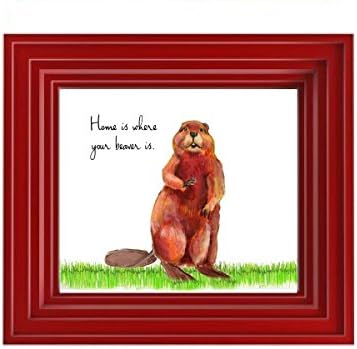 That print about where your beaver lives