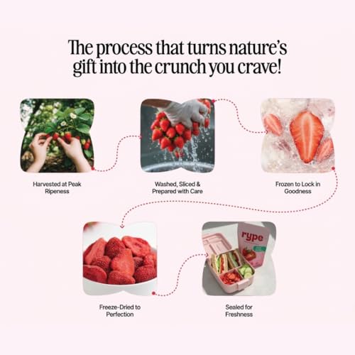 Rype Healthy Freeze Dried Coconut Milk Bites – Authentic Thai Coconut, Vegan, Dairy Free, No Nuts, Lightweight Snack Cubes – 25g