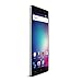 BLU VIVO 5R Refresh Smartphone - 5.5-Inch Display 4G LTE GSM Unlocked, GREY