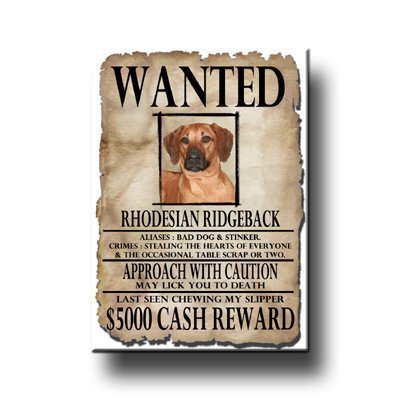 Rhodesian Ridgeback Wanted Fridge Magnet