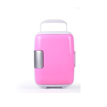 Dfkei - Nevera portátil, 4 l, termoeléctrica, para mantener ...