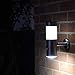 Frostfire Solar Wall Light with PIR Motion Sensor