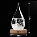 Storm Glass Weather Stations Water Drop Weather Predictor Creative Forecast Nordic Style Decorative Weather Glass