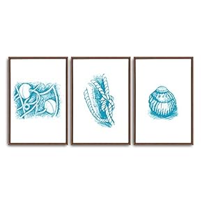 3 Piece Framed Canvas Wall Art Simple Seabed Elements Canvas Prints Home Artwork Decoration for Living Room,Bedroom - 16"x24"x3 Panels