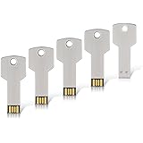 RAOYI 5Pcs 16GB USB Flash Drive Metal Key Shaped USB Stick Memory Stick Thumb Drive 16G, USB 2.0 Sliver