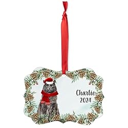 Blue Maine Coon Cat Christmas Ornament 2024