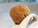 Natural Sea Sponge Sea Nature Brand 5-6 Inches Honeycomb Type for Body Bath and Face Cleaning ideal for Baby Bathing - Strong and Durable Guaranteed