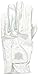 Wilson Sporting Goods Staff Grip Soft Glove, Women's Left Hand, Medium, White (WGJA00590M)