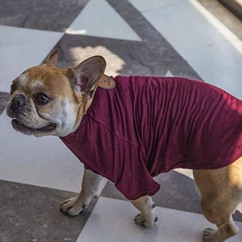Impawsters Dog T-Shirt Fashion Accessory Clothing for Anniversary Party and Return Gifts Maroon Tee Small Size 6