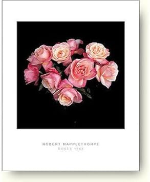 ロバート メイプルソープ 薔薇 フォトポスター ロバート メイプルソープ 薔薇 フォトポスター