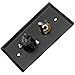 Seismic Audio SA-PLATE11 Black Stainless Steel Wall Plate with One 1/4-Inch TS Mono Jack and XLR Female Connector