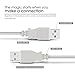 (2 Pack) 3 ft Hi-Speed USB 2.0 Cable Type A Male to Type A Male