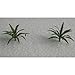 JTT Scenery Products Gardening Plants Series: Ferns, 1