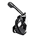 THEHOPE easy breathe full face snorkel mask set