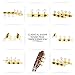 DJ204GK-P1W TENOR Classical Guitar Tuners, Tuning Key Pegs/Machine Heads for Classical or Flamenco Guitar in Gold Plated Finishing with Pearl Colored Buttons.