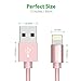 [Apple MFi Certified] Zendure 12 inch (30 cm) Nylon Braided USB Charge/Sync Cable with Lightning Connector for iPhone X/ 8/8 Plus, 7/7 Plus, 6/6 Plus, iPad Air 2, iPad Pro and More (Rose Gold)
