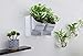 T4U Plastic Self Watering Vertical Living Wall Planter Set White Pack of 2, Stackble Wall Mounted for Indoor Outdoor Herb Vegetable Flower Plant (Renewed)thumb 2