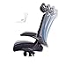 KADIRYA High Back Ergonomic Mesh Office Chair with Mesh Seat - Adjustable 90-110 Degree Tilt Lock, Flip-up Armrest, Lumbar Support and Headrest Computer Desk Task Chair, Black