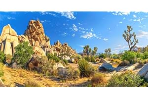 GOTLOS Reptile Habitat Background Rock Blue Sky Oasis Cactus Sunset and Desert Terrarium Background 48X24IN with 10 EVA Double-Sided Tape