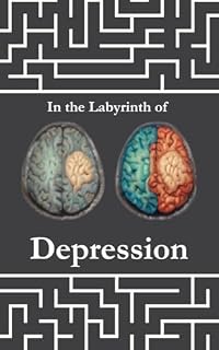 Livro In the Labyrinth of Depression