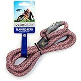 Cesar Millan Slip Lead Leash™ - 2-in-1 Slip Collar Dog Training Lead & Collar | Heavy Duty Durable Weatherproof Rope Leash, N