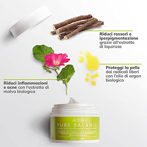 Skincare Korean Total Care Kit – For Combination, Oily or Acneica Skin: Balances with Cleansing Mousse, Tonic, Vitamin C Serum and Purifying Cream – Organic Beauty at Your Service