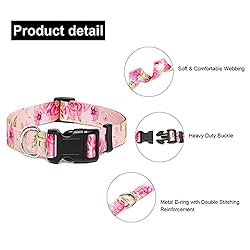 Suredoo Adjustable Dog Collar with Patterns, Ultra