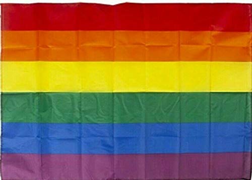 Rainbow Pride Flag 52" x 31" Festival Celebration Parade Gay Lesbian LGBT 4x2