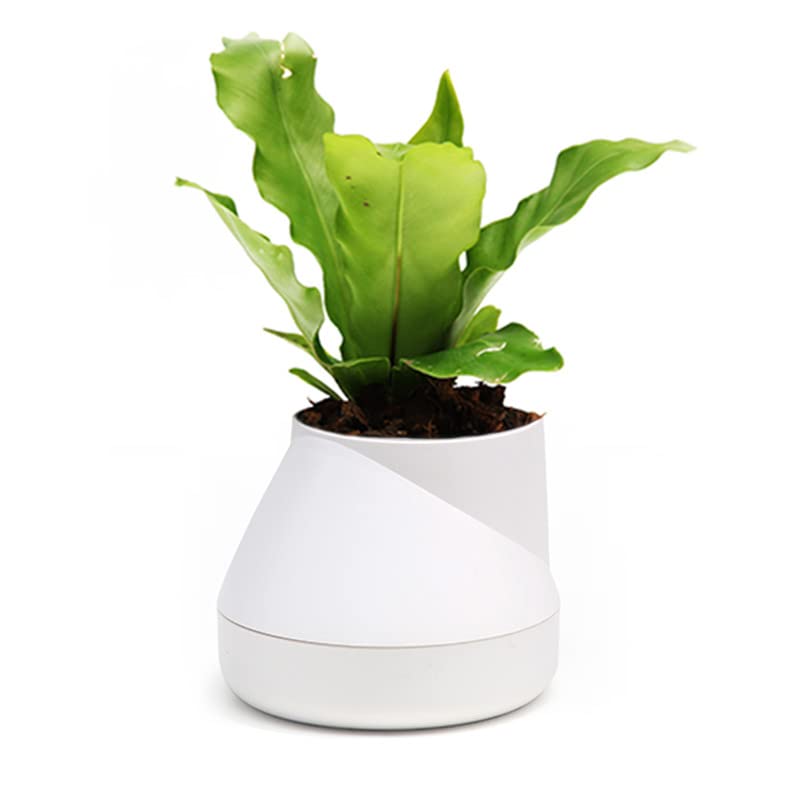 QUALY Self-Watering Flower Pot, White, 10x13 cm — image 1