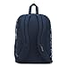 JanSport Unisex Big Student Oversized Backpack Navy Field Floral