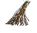 14 Inch 18 Gauge Brown Paper Covered Crafts Floral Stem Wire, 100 Counts by Shxstore