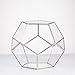 NCYP Small Silver Glass Geometric Terrarium for Succulents Air Plants, 6.89 x 6.89 x 5.9 Inches, Indoor Home Garden Planter Pot, Tabletop Decor Centerpiece, Handmade (Only Terrarium)