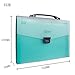 Shuter 13-Pockets A4 Expanding Accordion File Folder with Handle, Buckle Closure and Subject Labels.(Green)