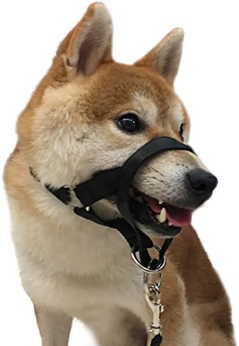 Dog Head Collar Durable No Pain No Pull Halter No-Pull Painless Training Collars (M(13"-15"), Black)