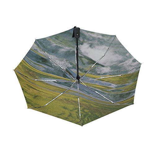 Full Automatic Portable Folding Rainy Umbrella Women Men Windproof Umbrella Printing Parapluie Paraguas